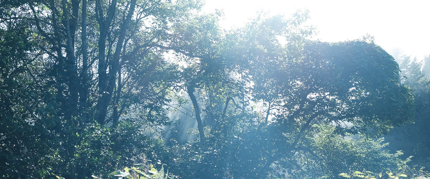 香水のブレンド風景